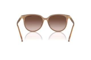 Vista posteriore Swarovski SK6023D (200213)