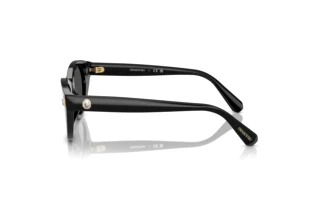 Vista laterale Swarovski SK6025 (100187)