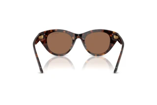 Vista posteriore Swarovski SK6025 (100273)