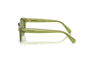 Vista laterale Swarovski SK6025 (3002/2)