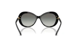 Vista posteriore Swarovski SK6026 (100111)