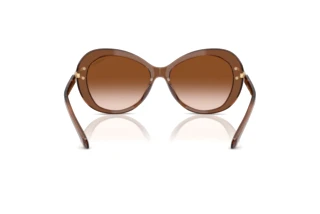 Vista posteriore Swarovski SK6026 (106713)