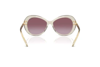 Vista posteriore Swarovski SK6026 (30038H)