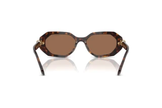 Vista posteriore Swarovski SK6028 (100273)