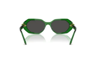 Vista posteriore Swarovski SK6028 (106487)