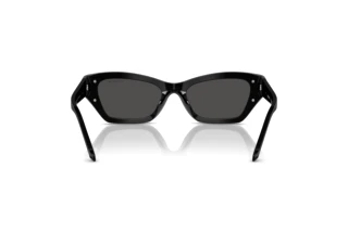 Vista posteriore Swarovski SK6029 (100187)