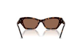 Vista posteriore Swarovski SK6029 (100273)