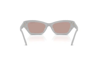 Vista posteriore Swarovski SK6029 (10317N)