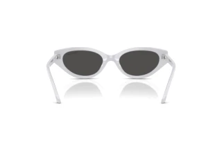 Vista posteriore Swarovski SK6030 (106087)