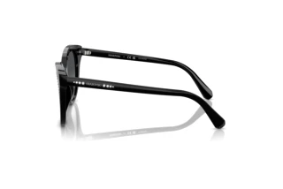 Vista laterale Swarovski SK6031 (1001T3)