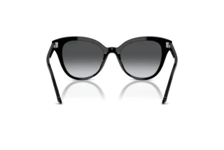 Vista posteriore Swarovski SK6031 (1001T3)