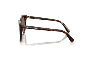 Vista laterale Swarovski SK6031 (100273)