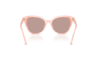 Vista posteriore Swarovski SK6031 (10317N)