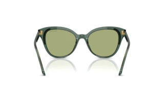 Vista posteriore Swarovski SK6031 (104382)