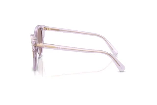 Vista laterale Swarovski SK6031 (1079LA)