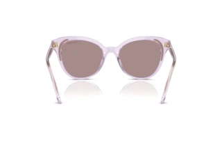 Vista posteriore Swarovski SK6031 (1079LA)