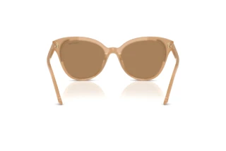 Vista posteriore Swarovski SK6031 (2002M4)