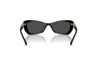 Vista posteriore Swarovski SK6033 (100187)