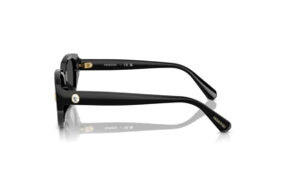 Vista laterale Swarovski SK6035D (100187)