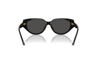 Vista posteriore Swarovski SK6035D (100187)