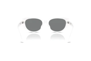 Vista posteriore Swarovski SK6035D (105087)