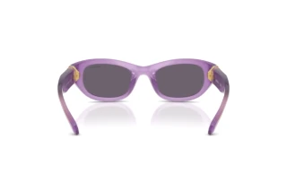 Vista posteriore Swarovski SK6036U (10751A)