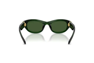 Vista posteriore Swarovski SK6036U (108171)