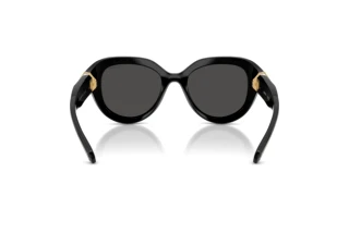 Vista posteriore Swarovski SK6037 (100187)