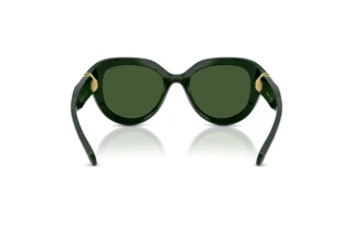 Vista posteriore Swarovski SK6037 (102671)