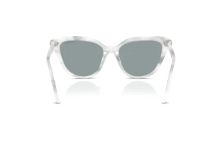 Vista posteriore Swarovski SK6039 (1042/1)