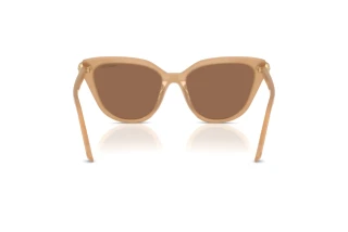 Vista posteriore Swarovski SK6039 (2002OK)