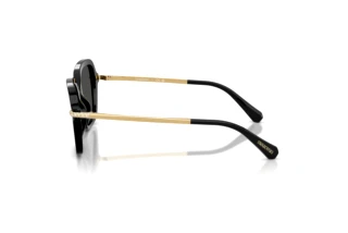 Vista laterale Swarovski SK6040 (100187)