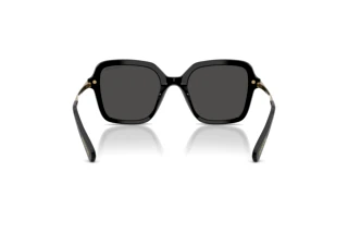 Vista posteriore Swarovski SK6040 (100187)