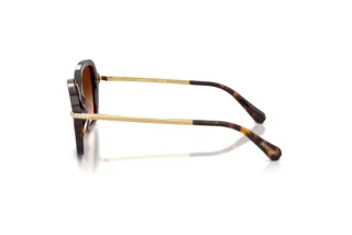 Vista laterale Swarovski SK6040 (100274)