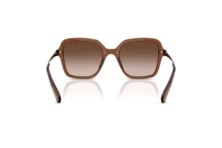 Vista posteriore Swarovski SK6040 (106713)