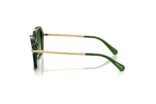 Vista laterale Swarovski SK6040 (10812A)