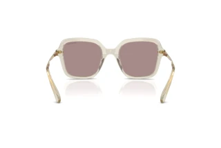 Vista posteriore Swarovski SK6040 (3003LA)