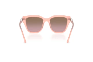 Vista posteriore Swarovski SK6041 (104114)