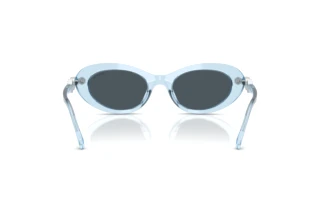 Vista posteriore Swarovski SK6042 (107887)