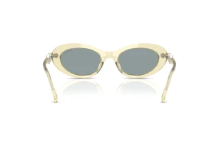 Vista posteriore Swarovski SK6042 (1080/1)