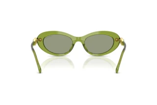 Vista posteriore Swarovski SK6042 (3002/2)