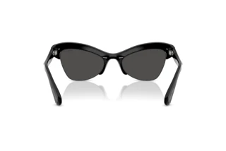 Vista posteriore Swarovski SK6043 (100187)