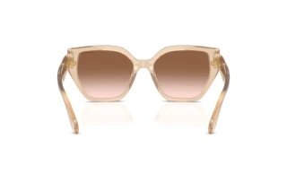 Vista posteriore Swarovski SK6044U (103413)