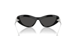 Vista posteriore Swarovski SK6046 (100187)