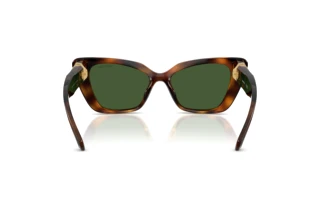 Vista posteriore Swarovski SK6047 (100271)