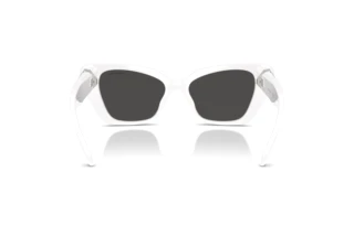 Vista posteriore Swarovski SK6047 (105087)