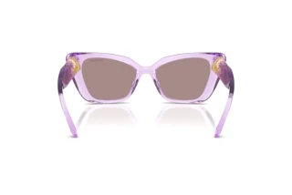 Vista posteriore Swarovski SK6047 (1079LA)