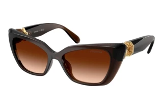 Vista frontale Swarovski SK6047 (108474)