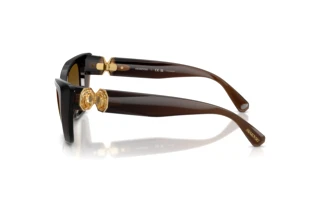 Vista laterale Swarovski SK6047 (1084T5)