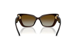 Vista posteriore Swarovski SK6047 (1084T5)